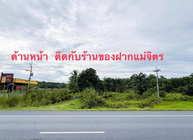 ขายที่ดิน หน้าสนามบินนานาชาติ นครศรีธรรมราช เนื้อที่ 6 ไร่ 2 งาน 40 ตารางวา ไร่ละ 2.3 ล้านบาท