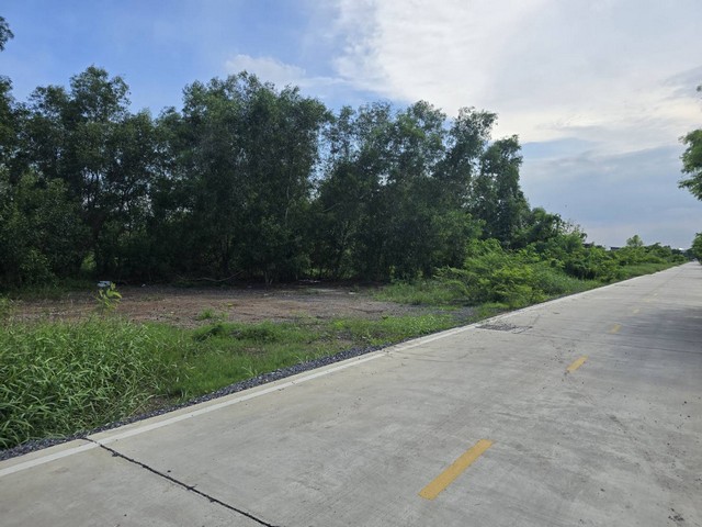 ขายที่ดินเปล่า ถมแล้ว 210 ตร.ว คลองสาม ที่ดินแปลงสวย ทำเลดี ใกล้วัดธรรมกาย