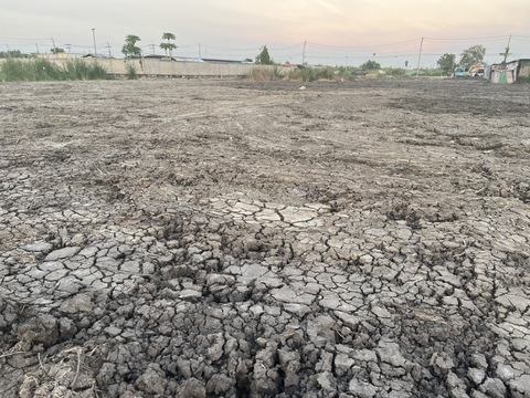 ด่วน ขายที่ดินในซอยวัดศรีวารีน้อย สมุทรปราการ 2.5ไร่  ไร่ล่ะ 6.5ลบ