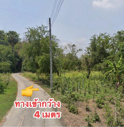 ขายที่ดินอำเภอบ้านหมอ ขายที่ดินสระบุรี ขายที่ดินตำบลหนองบัว ขาย2ไร่44ตารางวา