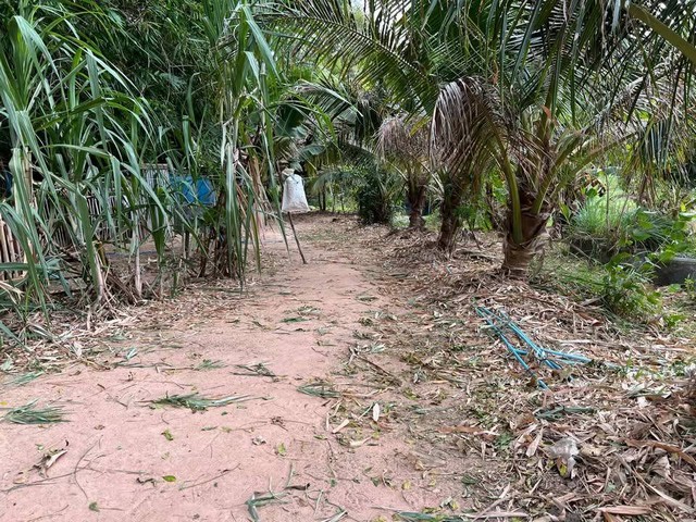 ขายที่ดินพร้อมบ้าน 8 ไร่ ทำเลทอง ติดถนน ตำบลสวายจีก อำเภอเมือง จังหวัดบุรีรัมย์