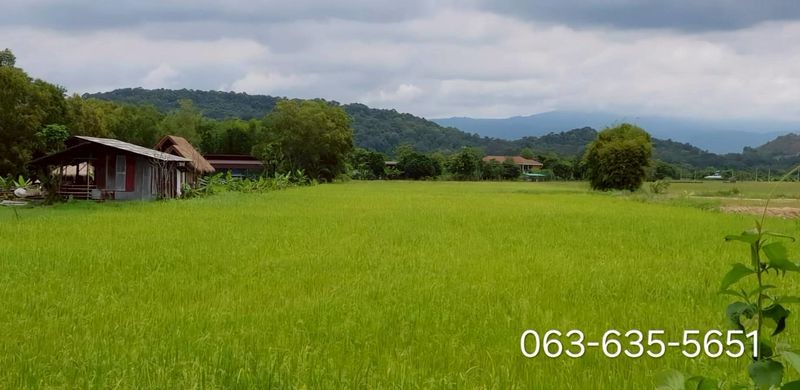 ด่วนขายต่ำกว่าราคาตลาด ที่วิวเขาสาริกา ติดรีสอร์ท 6 ไร่ ต.สาริกา อ.เมืองนครนายก ฝั่งตรงข้ามมีคลองส่งน้ำมีน้ำจากเขื่อนใช้ทำเกษตรตลอดปี