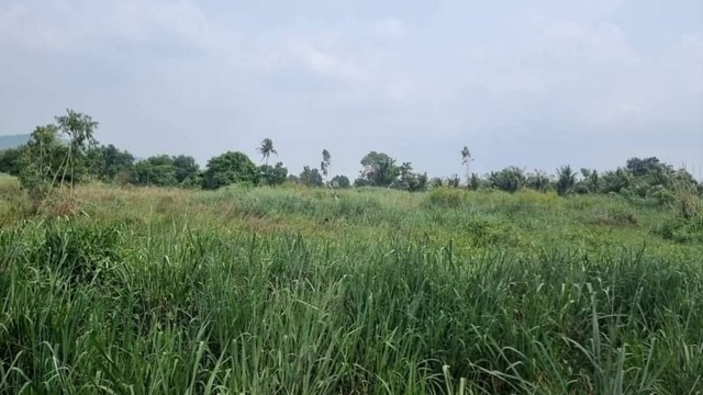 ขายที่ดินหุบบอน หนองขาม ศรีราชา แปลงสวย ทำเลดี ใกล้ถนนเส้น 331 FP-L0712 