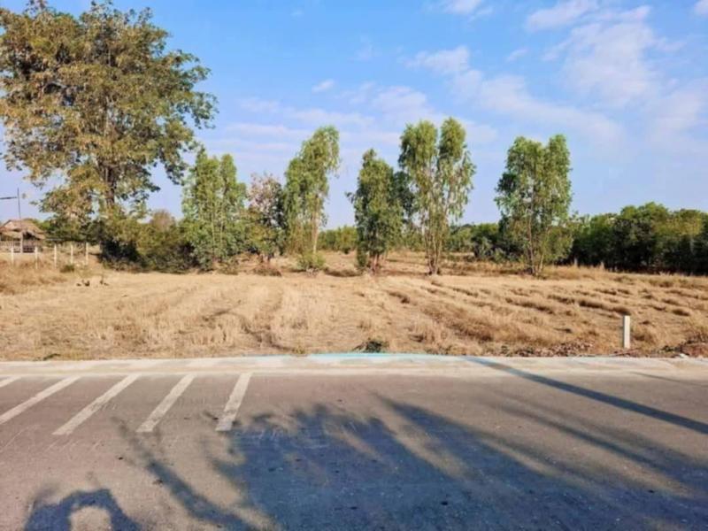 ขายที่ดินในเขตเทศบาลตำบลนาโพธิ์ อ.นาโพธิ์ จ.บุรีรัมย์ เนื้อที่ 6 ไร่ 2 งาน 58 ตรว. โฉนดครุฑแดง