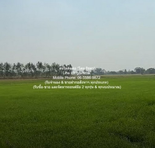 ขายที่ดินทุ่งนาข้าว ต.ระวิง อ.เมืองเพชรบูรณ์ จ.เพชรบูรณ์ 51-2-87 ไร่ ราคา 7.8 ล้านบาท