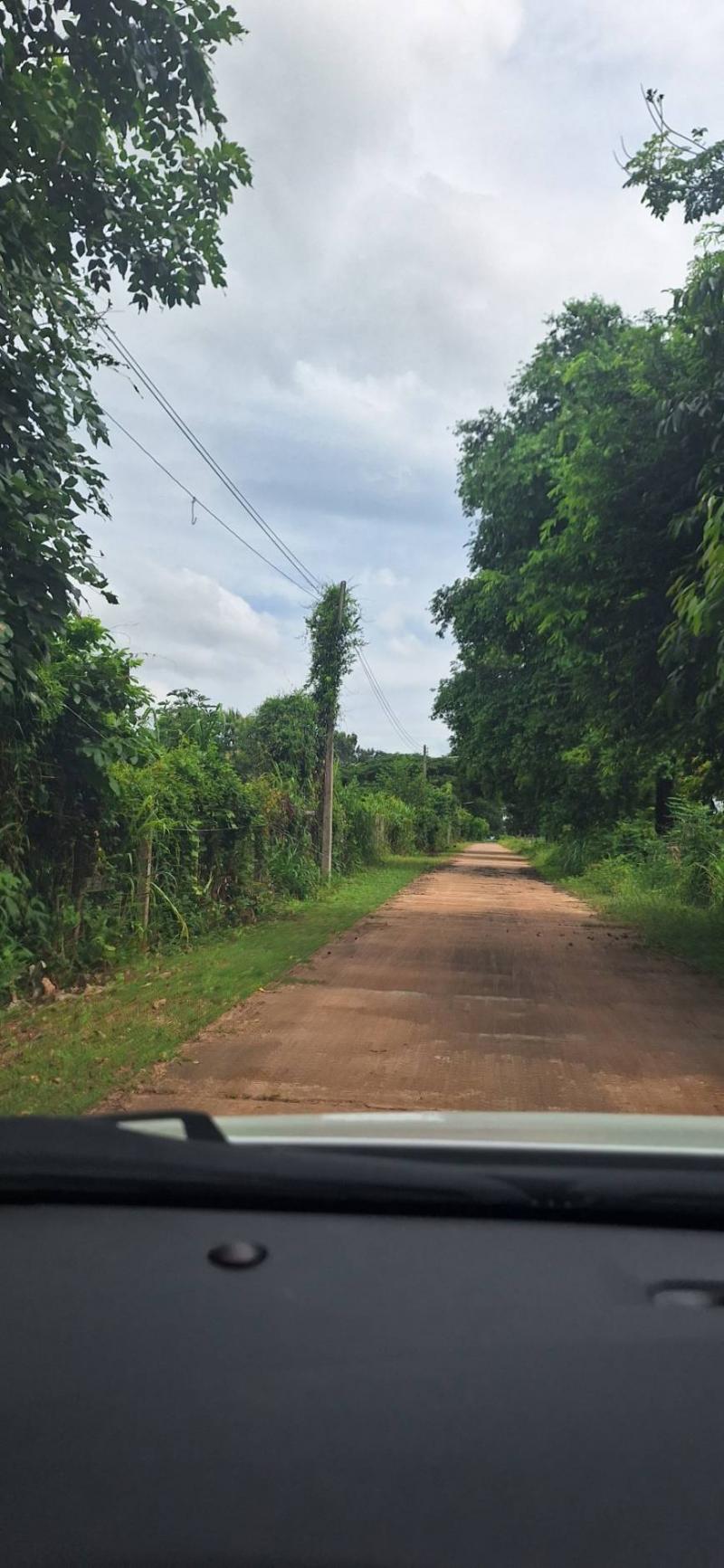 ขายที่ดินหัวมุม ทำเลทอง ติดถนน2ด้าน ด้านหน้าติดถนน4เลน อำเภอป่าติ้ว จังหวัดยโสธร