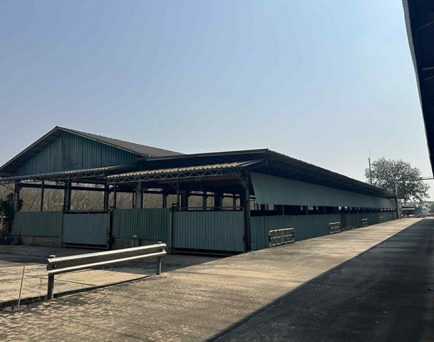 ให้เช่าโรงงาน สีม่วงลาย 20-2-50 ไร่ พื้นที่ใช้สอย 10,078 ตร.ม ขอ รง .4 ได้ นิคมพัฒนา ซ.9