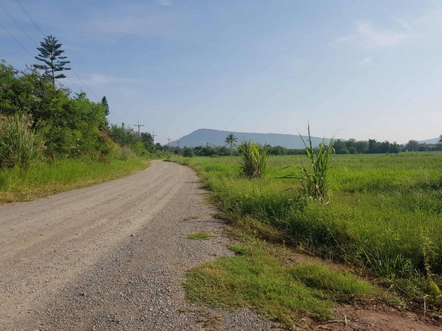 ผืนดินไทยทรงคุณค่า ขายที่ดินปากช่อง 2ไร่- 8ไร่ โฉนด ต.วังไทร อ.ปากช่อง จ.นครราชสีมา ไร่ละ  2.9 ลบ.สูงจากระดับน้ำทะเลมา น้ำไฟพร้อม