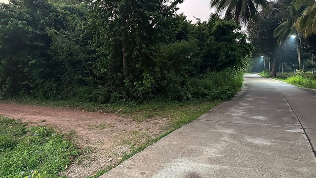 ผืนดินไทยทรงคุณค่า  ที่ติดทะเล 2.5 ลบ./ไร่ ฝั่งแดง ผาแดง หายาก ประจวบ บางสะพานน้อย สวยมากแปลงนี้ ขายถูกสุดในย่านนี้ ไร่ละ 2.5 ล้านบาท