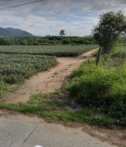 ขายที่ดินเขาคันทรง ศรีราชา แปลงสวย ใกล้นิคมโรจนะบ่อวิน FP-L0737