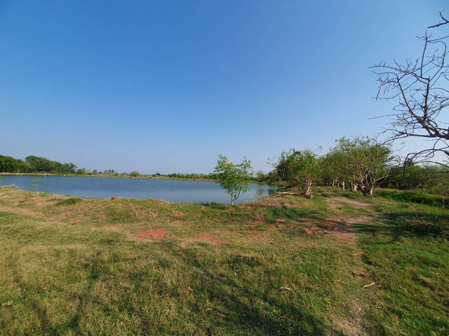 ขายที่ดินข้างศูนย์ราชการใหม่ของนครปฐม เหมาะทำโครงการบ้านจัดสรร ห้องเช่า/โรงแรม/โรงพยาบาล