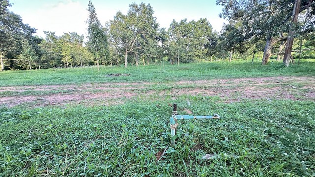 ผืนดินไทยทรงคุณค่า  ขายที่ดินใกล้หาดบางเบิด ติดถนนทางหลวง ใกล้หาด1 กม. +ขนาดที่ดิน 50-1-18 ไร่ โฉนดครุฑแดง พร้อมโอน ไร่ล่ะ 8 แสน