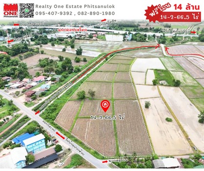 ขายที่นาติดถนน 14-2-66.5 ไร่ ตรงข้ามหจก.เอทีพี สกินแคร์ บ้านปากห้วย ต.ดอนทอง ใกล้แยกดงประโดก