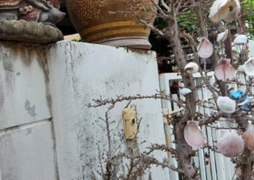 ขายทาวน์เฮ้าส์มือสอง อำเภอลาดหลุมแก้ว จังหวัดปทุมธานี โครงการ พาร์ค วิลเลจ 4 สารสาสน์-ราชพฤกษ์