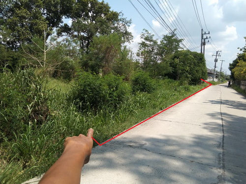 ที่ดินเปล่า 1-1-88.4 ไร่ ต.เมืองปัก อ.ปักธงชัย จ.นครราชสีมา