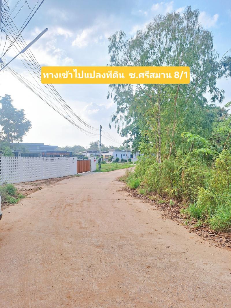 ขายที่ดินทำเลทอง! ซอยโนนม่วง ใกล้ มข. เพียงไม่กี่นาที เหมาะสำหรับปลูกบ้าน หอพัก หรือทำธุรกิจเดินทางสะดวก