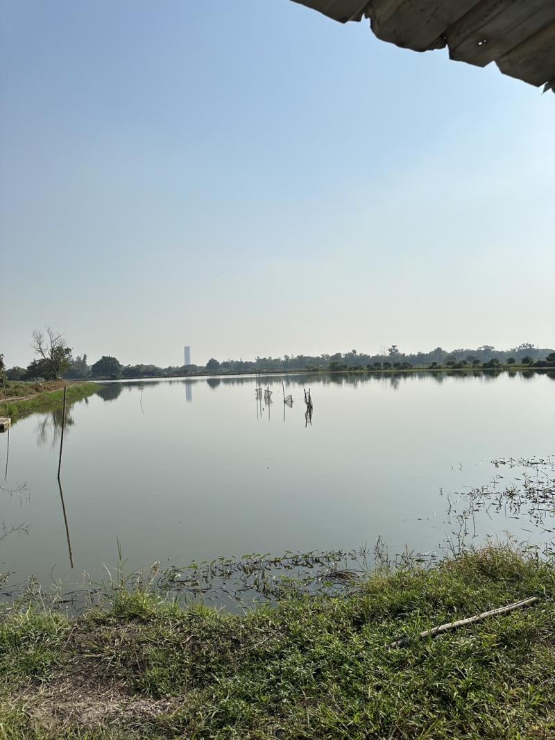 ขายที่ดินแปลงใหญ่ ทำเลทอง ใกล้ ABAC บางนา จังหวัดกรุงเทพมหานคร