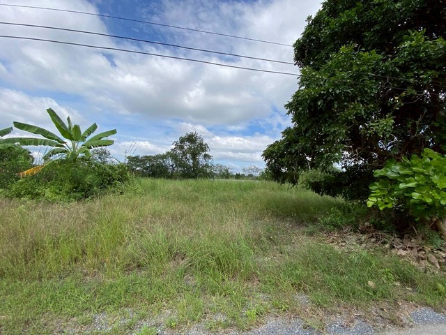 ขายที่เปล่าปากทางขึ้นเขาใหญ่ ห่างถ.มิตรภาพเพียง600เมตรต.ขนงพระ อ.ปากช่อง จ.นครราชสีมา