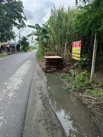 ขายที่ดินเปล่า 2 ไร่  ซอยร่มเกล้า 25  คลองสามประเวศ  ลาดกระบัง กรุงเทพ