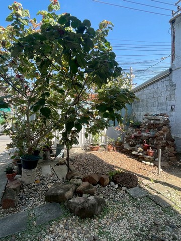 ให้เช่าบ้านเดี่ยว ม.สุขนที ลาดปลาเค้า ซ.62 พร้อมเฟอร์นิเจอร์ครบ