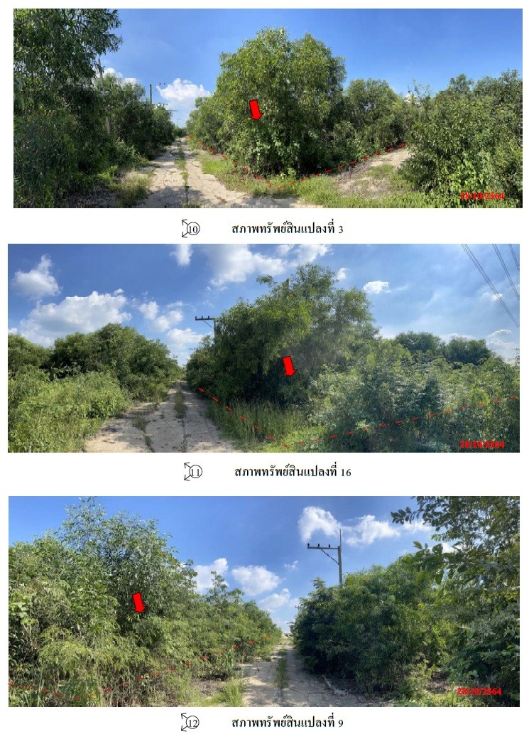 ขายที่ดินเปล่า อำเภอบางวังน้อย จังหวัดพระนครศรีอยุธยา