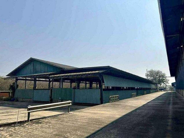 ให้เช่าโรงงาน/คลังสินค้า ที่ดินขนาด 20-2-50 ไร่พื้นที่ใช้สอยประมาณ10,078 ตร.ม ม่วงลาย ขอใบอนุญาตรง .4 ได้ นิคมพัฒนา  ระยอง