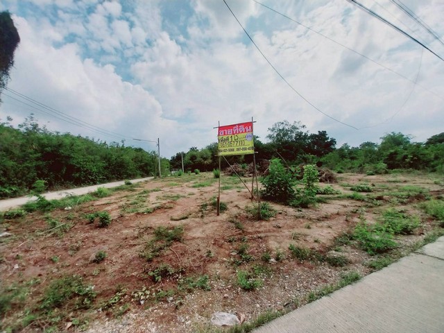 ขายที่ดิน แปลงสวย  1 ไร่  นครสวรรค์ตก   ทำเลดีใจกลางเมืองนครสวรรค์  ZK427