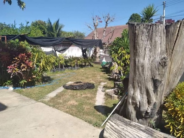 ขายบ้านพร้อมที่ดินเนื้อที่ 113ตรว. 3นอน4น้ำ ราคา 2.4ลบ. ใกล้ รพ.สันทราย ม.แม่โจ้ ต.หนองหาร อ.สันทราย เชียงใหม่