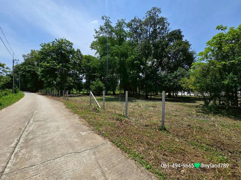 ลดเป็นล้าน สวนป่าริมเลคน้ำขนาดใหญ่ วิวเขาตระการตา ต.เขาเพิ่ม อ.บ้านนา จ.นครนายก การเดินทางสะดวกอยู่ในเขตชุมชน ใกล้ตัวอำเภอบ้านนา