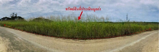 ขายที่ดินว่างเปล่า โครงการสนามกอล์ฟพัทยาคันทรีคลับ อำเภอบางละมุง