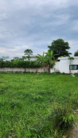 ราคาเริ่มที่ 580,000 บาท ในหมู่บ้านเบญจรงค์ เขตติดต่อหางดง– สันป่าตอง วิวดอยสุเทพ น้ำไม่ท่วม 3 แปลงอยู่ติดกัน ซื้อยกแปลงมีราคาพิเศษ