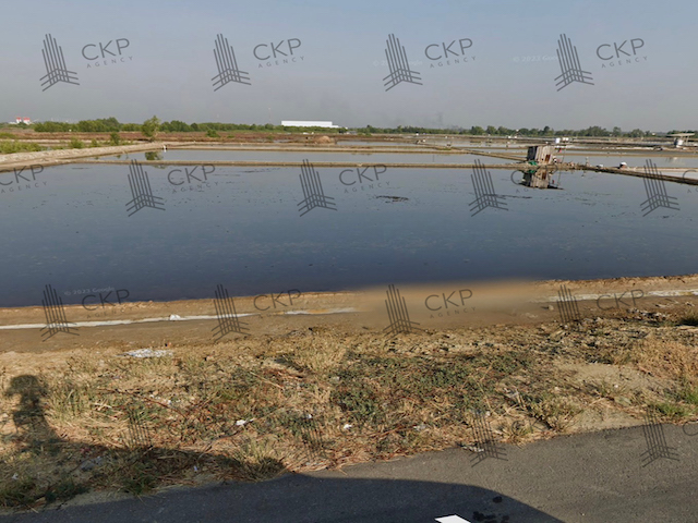 ที่ดินเปล่า ทำเลดี หน้ากว้าง300เมตร ติดถนนพระราม 2 ฝั่งขาเข้า ราคาเพียงไร่ละ 8.5ลบ. ต.บางแก้ว อ.เมือง สมุทรสงคราม