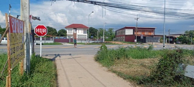 ขายที่ดินราคาถูกพร้อมบ้าน 69 วา  บ้านทองหลาง  มะขามสูง  เมืองพิษณุโลก