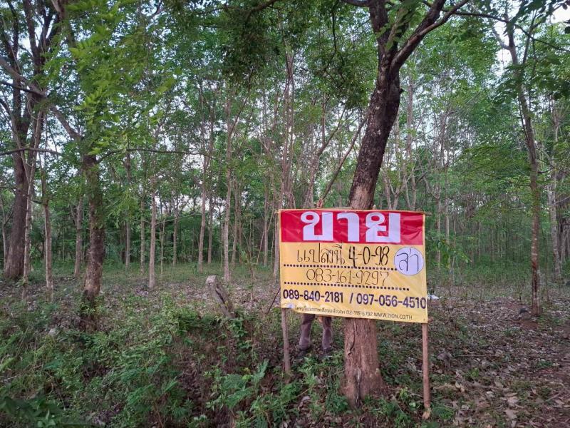 ขายที่ดินราคาถูก 4-0-98 ไร่  ติดถนนลาดยาง  บ้านเมืองบาง  วัดธาตุ  เมืองหนองคาย