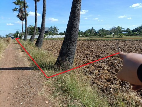 ที่ดิน 3 งาน 78.0 ตรว. ต.ขามทะเลสอ อ.ขามทะเลสอ จ.นครราชสีมา