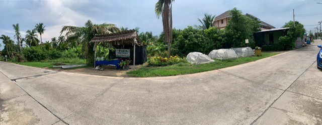 ขายที่ดิน 5 ไร่ ใกล้วัดไร่ขิง สามพราน นครปฐม หน้าติดถนน 40 เมตร ที่ดินสวย บรรยากาศดี