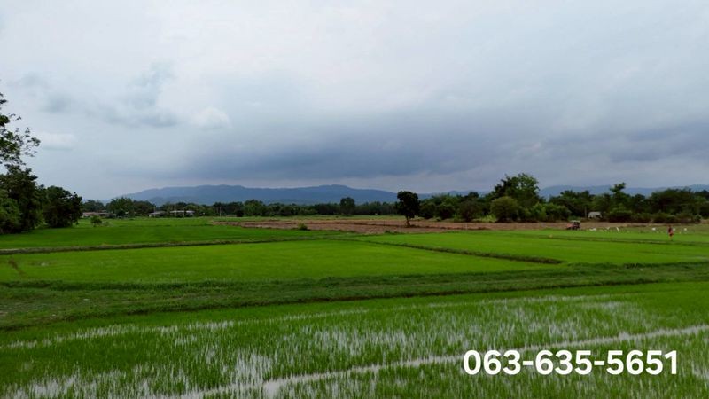 ขายที่สวยวิวเขา 12 ไร่ 3 งาน 62 ตรว. ต.สาริกา อ.เมืองนครนายก จ.นครนายก การเดินทางสะดวก ถนนดีตลอดเส้นทาง เข้าออกได้ 2 ทาง