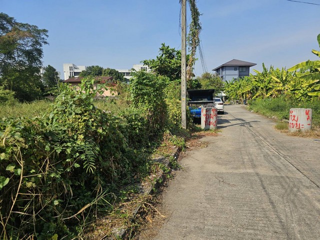 ขายที่ดินติดถนนลาดพร้าว101 ใกล้ mrt ลาดพร้าว ใกล้เดอะเมอล์บางกะปิ