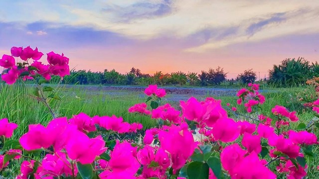 ขายที่ดินไอหนุ่มเมืองเพรช รักเธอเหม็ดใจ ที่ดินสวย มองดูนา เฟส2