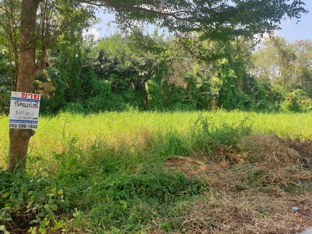 พื้นที่ดิน - 1000000 -  พท. 10 ตร.ว. 0 NGAN 0 Rai ไม่ไกลจาก – บิ๊กซี  – โลตัส  – ดูโฮม  – วัดอัยยิการาม  – ตลาดต้นไม้ คลอง 9  – โรงเรียนสารสาสน์วิเทศรังสิต คลอง 7  – โรงเรียนจุฑารัตน์วิทยา  – โรงเรียนวัดอัยยิการาม  – โรงพยาบาลธัญบุรี  – โรงพยาบาลคลอง