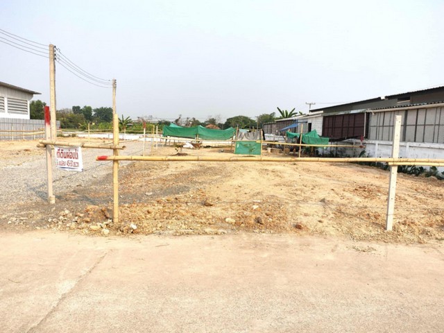 ขายที่ดินแบ่ง 45-52ตรว. เรื่ม 650,000บ. ฟรีโอน ผ่อนได้ ถมแล้วมีน้ำไฟถนน ใกล้ร้านแดงเบเกอรี่ ต.หนองแฝก อ.สารภี เชียงใหม่