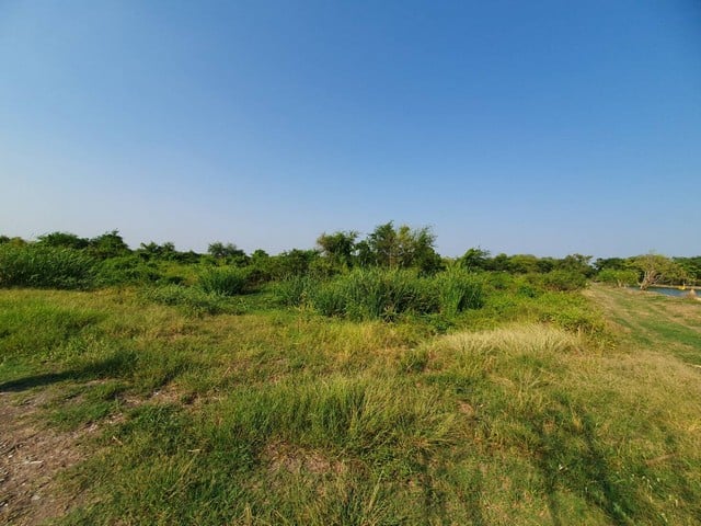 ขายที่ดินข้างศูนย์ราชการใหม่ของนครปฐมราคาถูกสุดในย่านนี้ ต.ถนนขาด อ.เมือง จ.นครปฐม