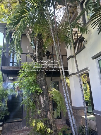 Sale บ้าน ขายบ้านเดี่ยวหรู 2 ชั้น (3 หลัง) ถ.พัฒนาการ 136.9 ตร.ว. 5 น 5 น้ำ 4 จอดรถ (ห่าง ซ.ทองหล่อ 10 นาที), ราคา 54 ล้านบาท ขนาด 37 ตารางวา 1 ngan 0 ไร่  54000000 BAHT. ไม่ไกลจาก ซอยทองหล่อ 5.5 กม. หรือสนามบินสุวรรณภูมิ 15 กม. ทำเลดีๆ