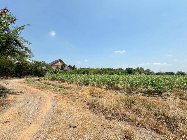 ขายที่เปล่าติดถนนดอนไก่ดี ที่เปล่ากระทุ่มแบน สมุทรสาครต.ดอนไก่ดี อ.กระทุ่มแบน จ.สมุทรสาคร ผังเมืองสีเหลือง