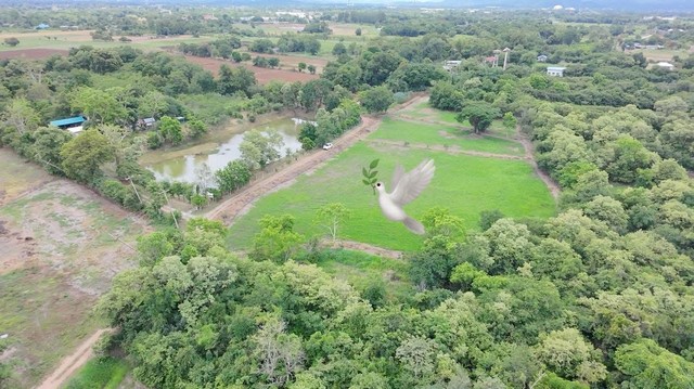 ขายที่ดิน 4 ไร่ครึ่ง ใกล้แยกสันมะค่า ต.บัวลอย อ.หนองแค จ.สระบุรี 2.025 ล้าน