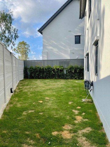 บ้านเดี่ยว Centro บางนา เฟส2 เลี้ยงสัตว์ได้ 4 ห้องนอน #แปลงมุมส่วนตัวพื้นที่กว้าง