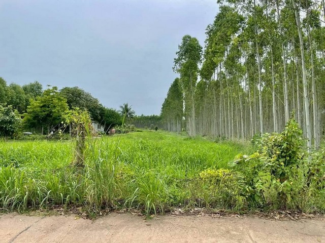 ขายที่ดินสวยเกาะจันทร์ ที่ดิน 1 ไร่  ทำเลดี อยู่ในแหล่งชุมชน เหมาะแก่การพักอาศัย