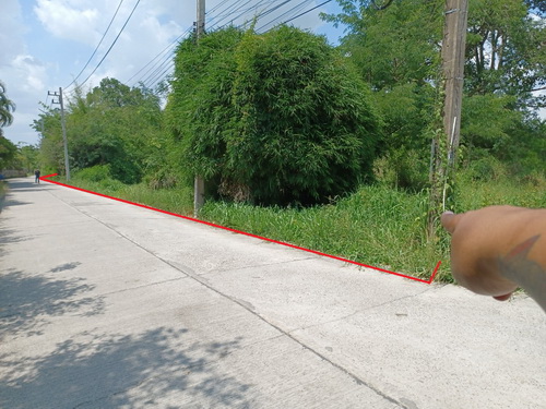 ที่ดินเปล่า 1-1-88.4 ไร่ ติดถนน 3 ด้าน ต.เมืองปัก อ.ปักธงชัย จ.นครราชสีมา