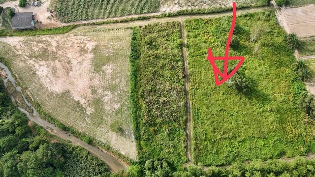 ขายที่ดินสีม่วงลายทำเลทองใกล้นิคมพัฒนา จ.ระยอง ขาย 6 ไร่ 58 ตร.ว. เหมาะทำโรงงาน โกดัง คลังสินค้า หรือเก็บไว้ลงทุน