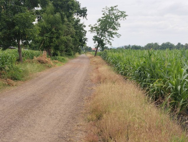 [ขาย] ที่ดินเปล่า แบ่งขาย 1-2 ไร่ | วิวภูเขา 360° | โฉนดครุฑแดง | ต.หนองแขม โคกสำโรง ลพบุรี | เริ่มต้น 280,000 บาท/ไร่